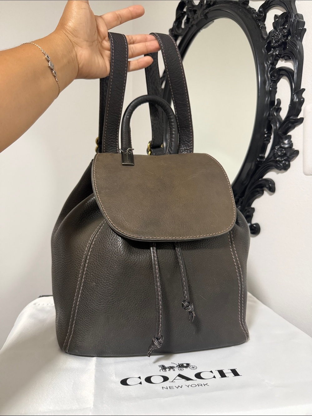 Coach Two-Tone Brown Leather Backpack